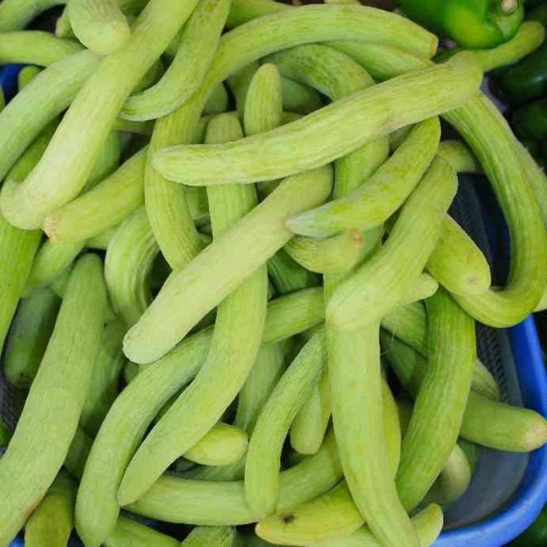 Wholesale Vellari Pinju (Small Cucumber) Supplier – Dubai